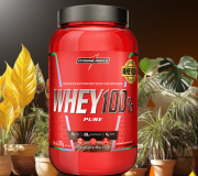 Whey Protein Concentrado 